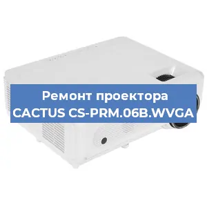 Ремонт проектора CACTUS CS-PRM.06B.WVGA в Новосибирске